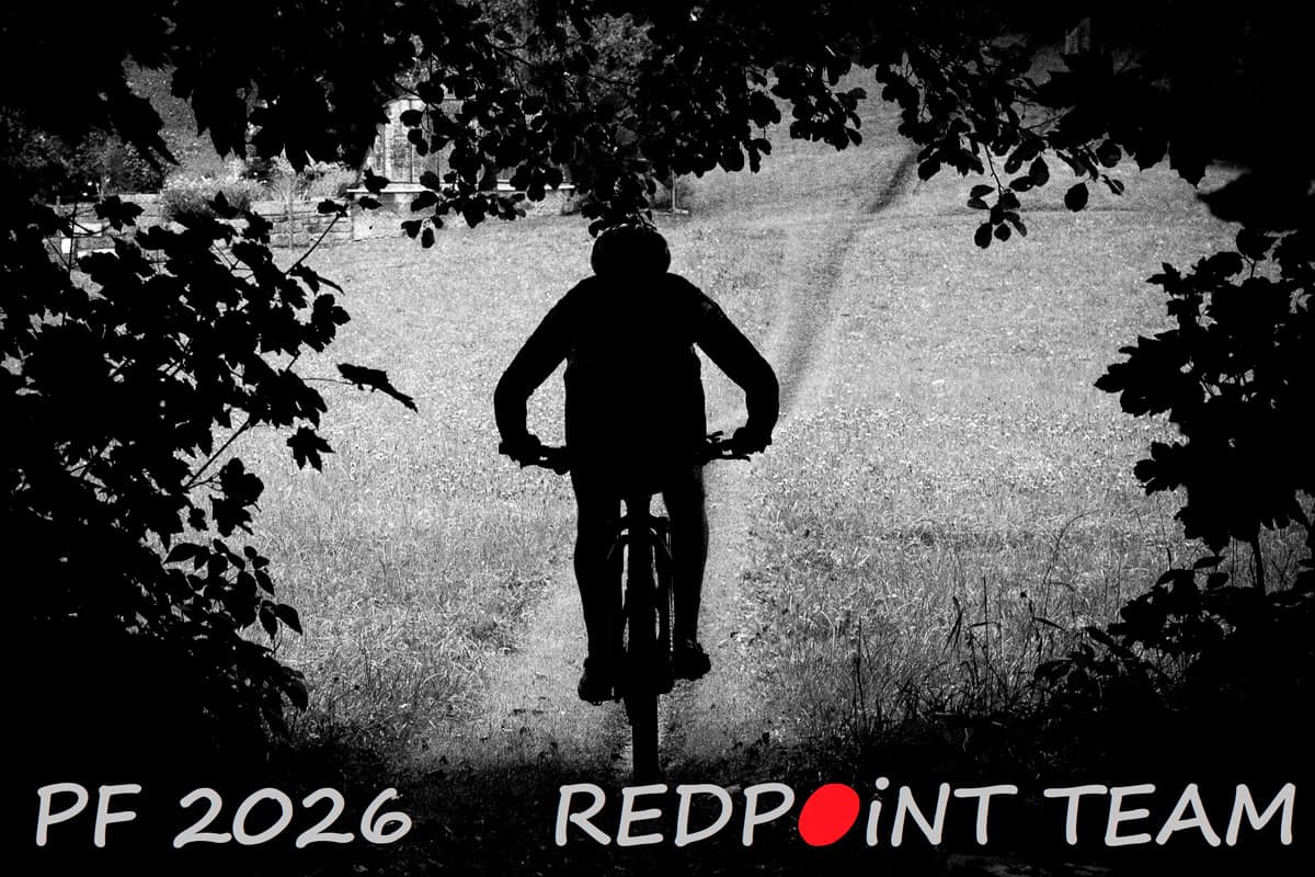 Novoroční přání